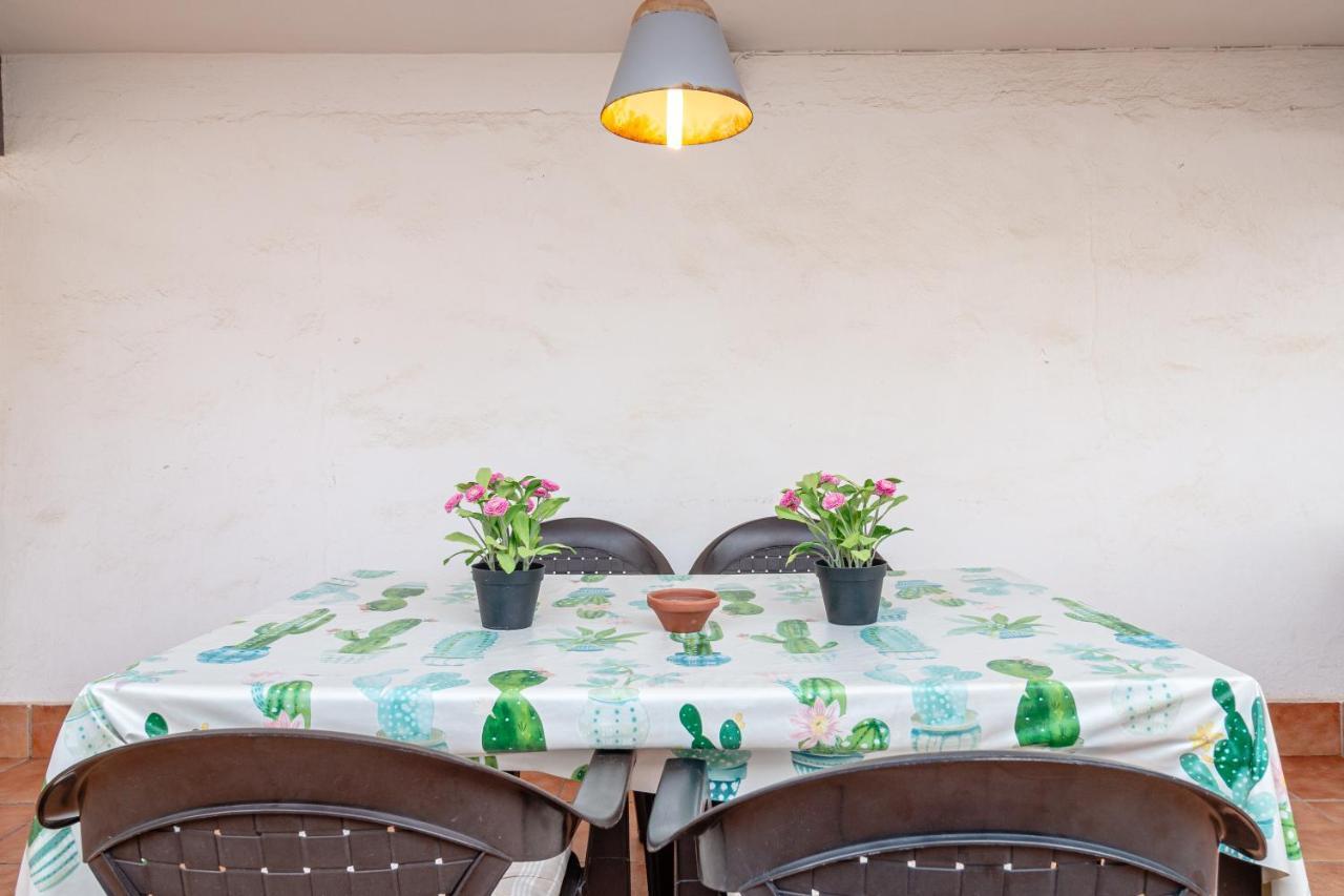 Super Apartamento A Un Paso Del Mar 올리바 외부 사진